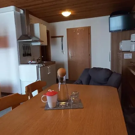 Appartement Hochzillertal Mit Sauna & E-ladestation