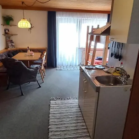 Studio Hochzillertal Mit Sauna & E-ladestation Apartment *